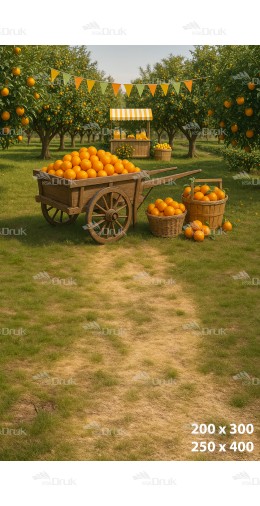 Tło fotograficzne Owoce 3565